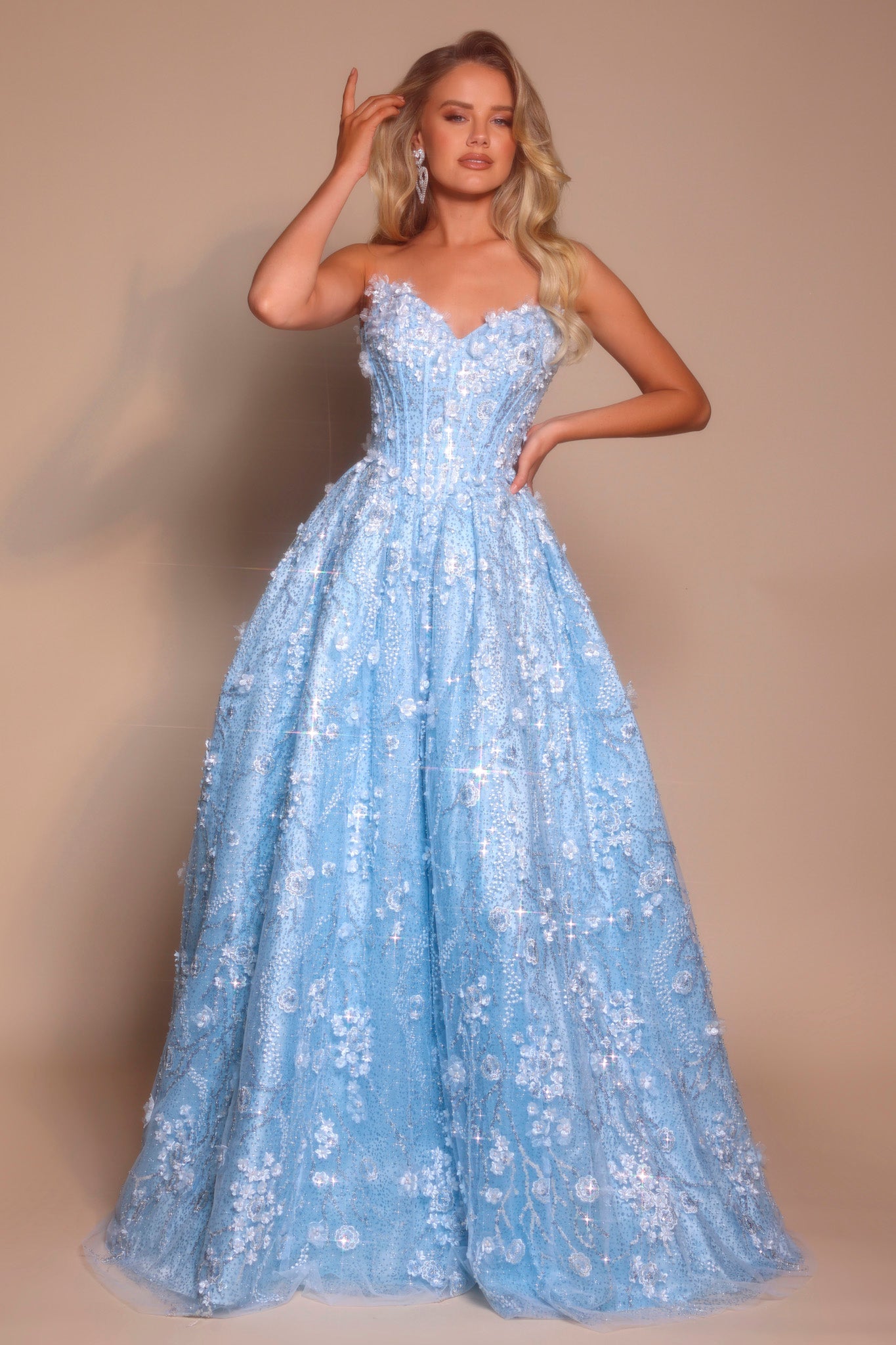 Portia and Scarlett 3D Floral Basque Waist Ballgown Prom Dress PS26149