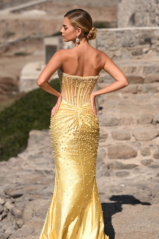 Portia and Scarlett Corset Prom Dress PS26002